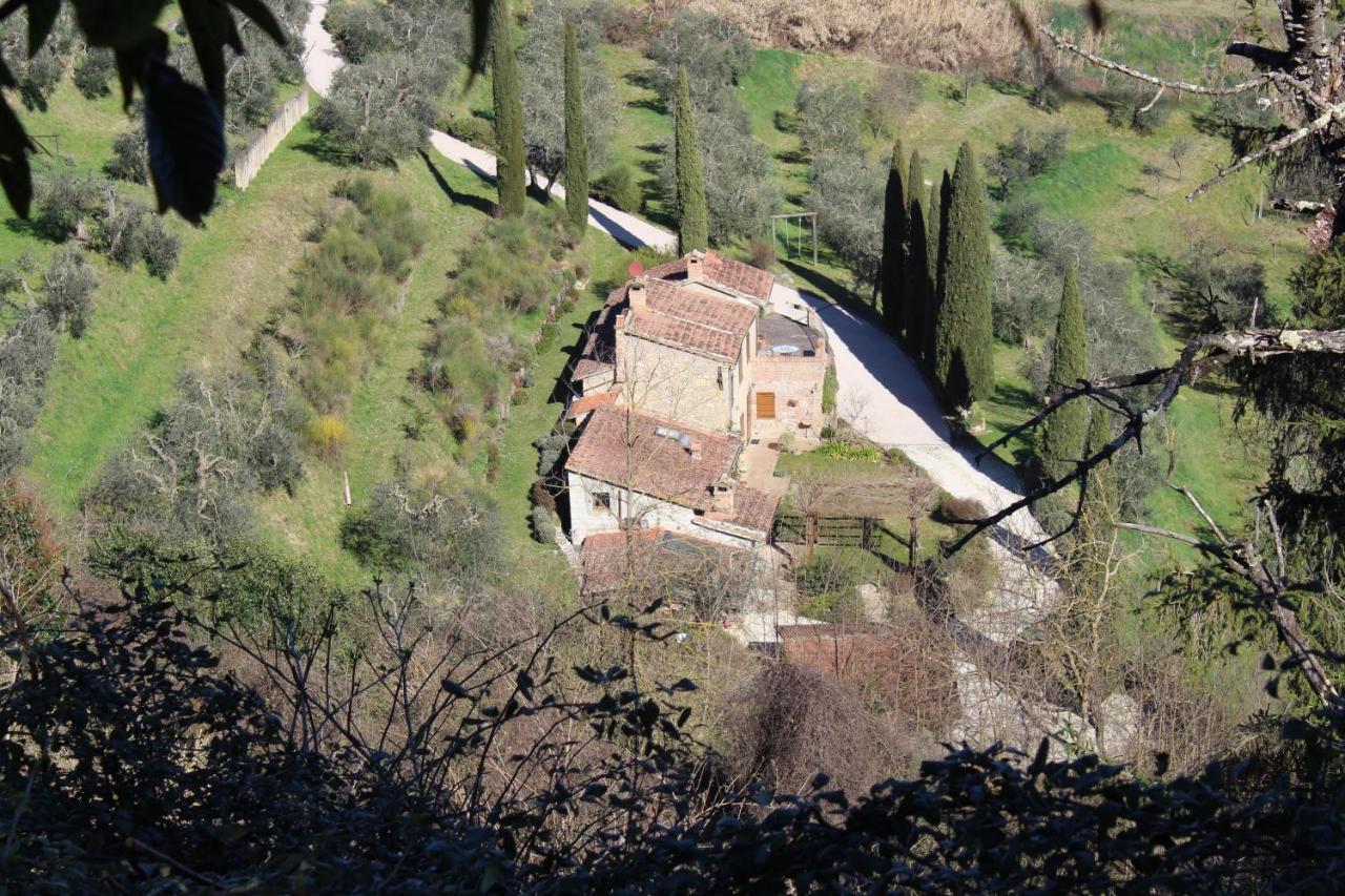 Villa Porsenna К'юзі Екстер'єр фото